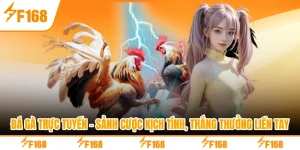 Đá Gà Trực Tuyến - Sảnh Cược Kịch Tính, Thắng Thưởng Liền Tay