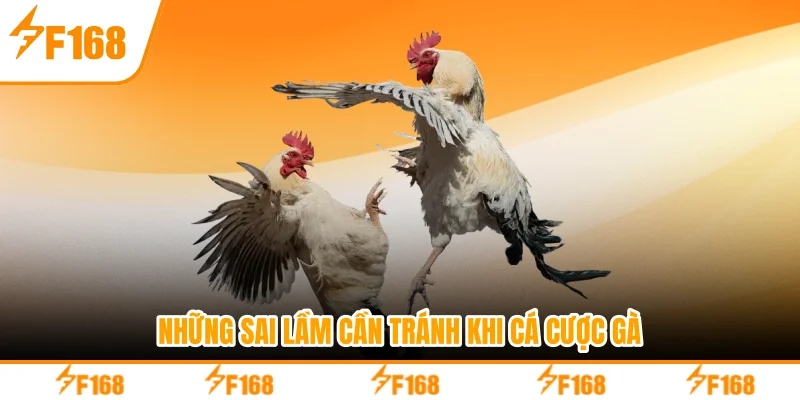 Những sai lầm cần tránh khi cá cược gà