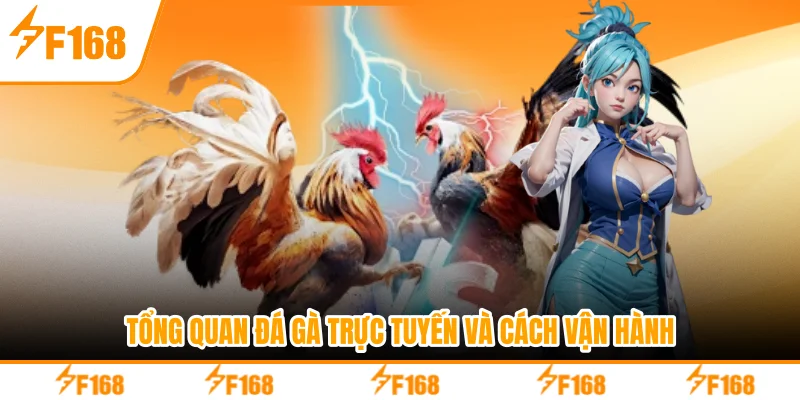 Tổng quan đá gà trực tuyến và cách vận hành
